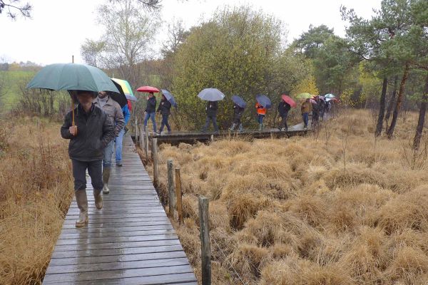  Randonn&eacute;es dans le Marais du Cassan et de Prentegarde