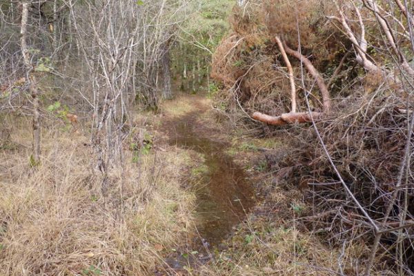 Rajout d&rsquo;une marche de 1 m de long &agrave; chaque extr&eacute;mit&eacute;