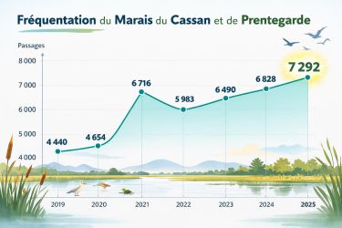 Fréquentation en hausse !