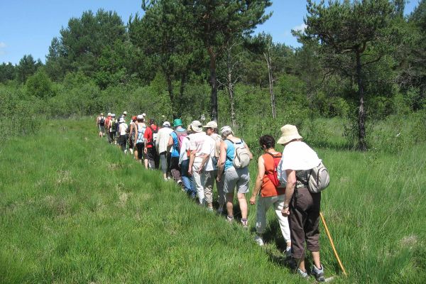  Randonn&eacute;es dans le Marais du Cassan et de Prentegarde