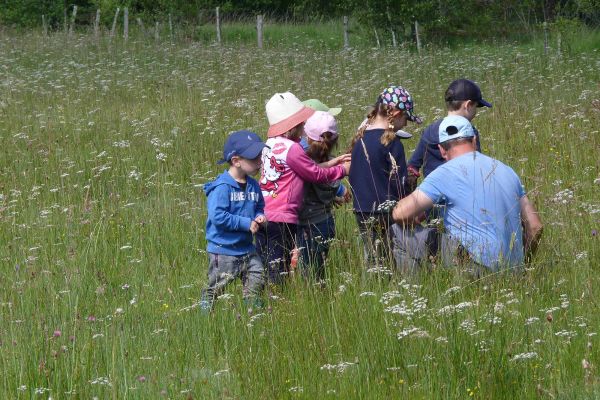 Des sorties botaniques sont organis&eacute;es au sein du Marais du Cassan et de Prentegarde