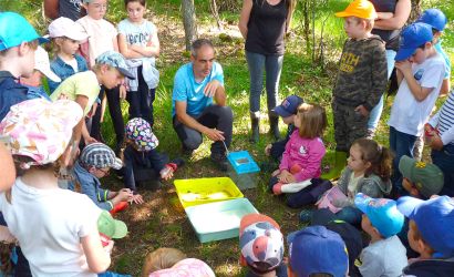 Sorties pédagogiques